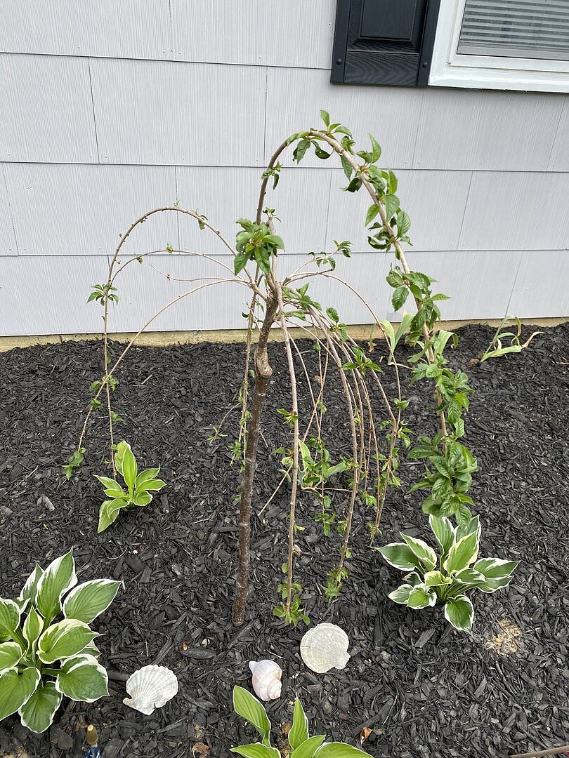 I think it’s doing well