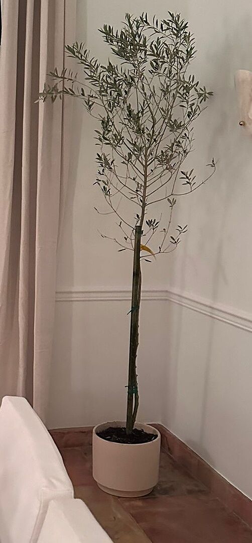 Excellent quality, good service