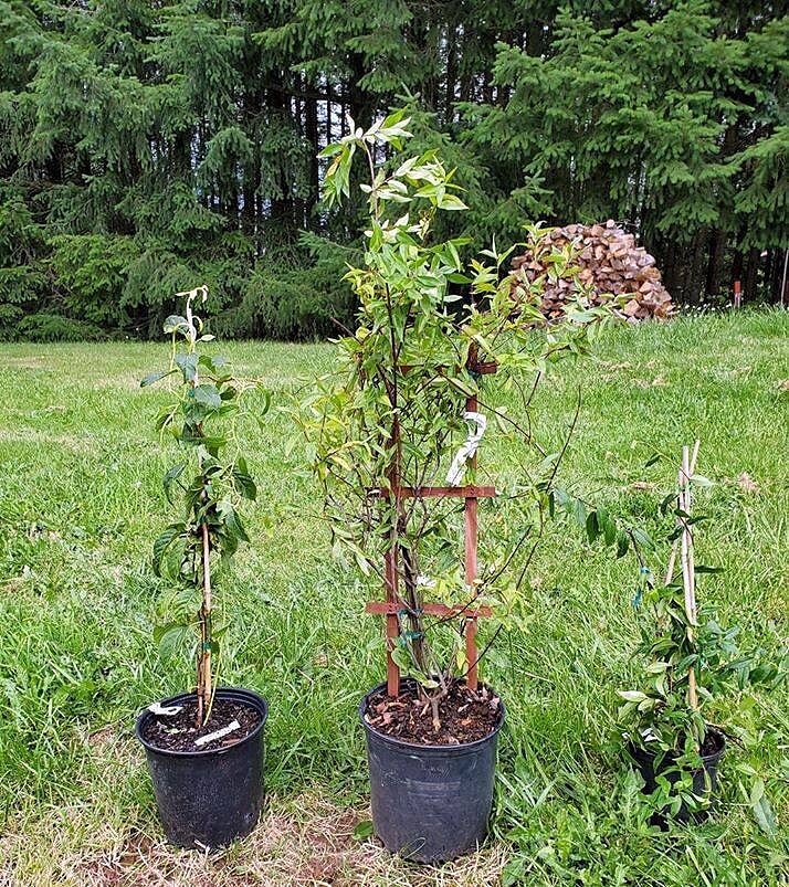 Happy with my order!