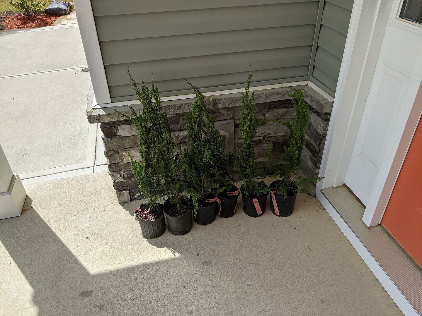 Media from review #5