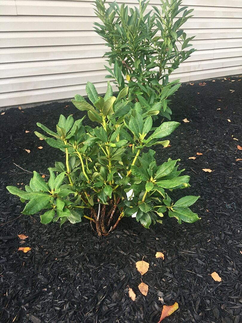 Perfect addition to our yard,