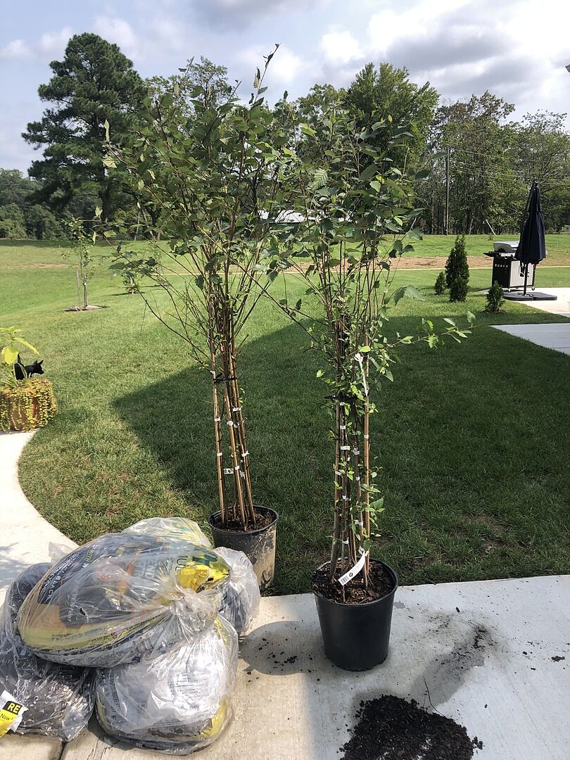 Exceeded my exceptions