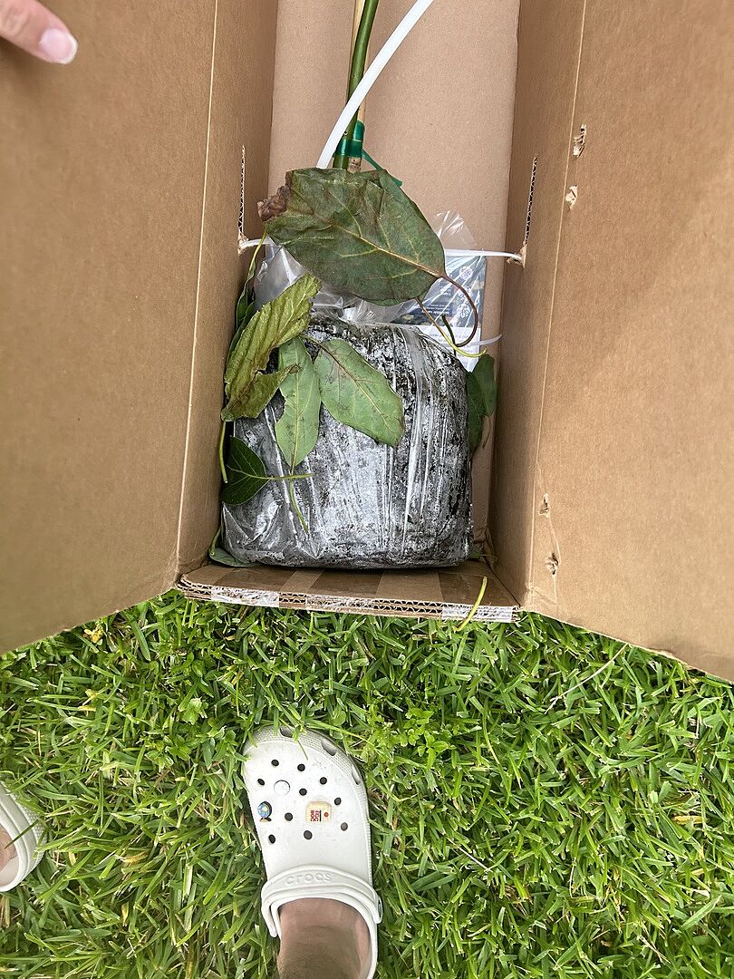 Brighter Blooms is the best,