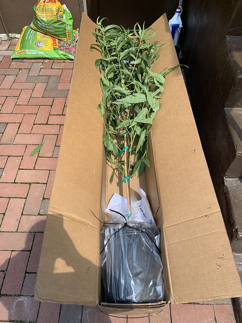 I'm absolutely a happy customer.