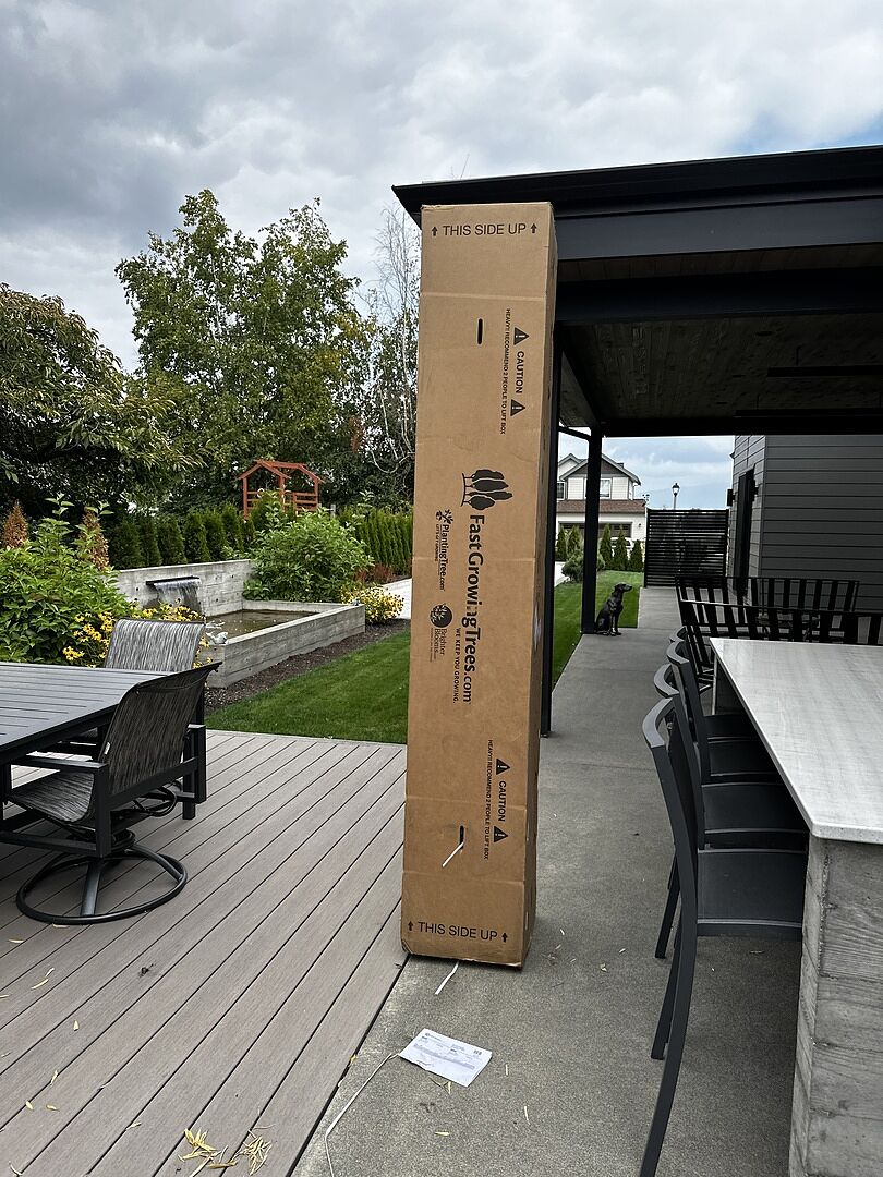 Media from review #3