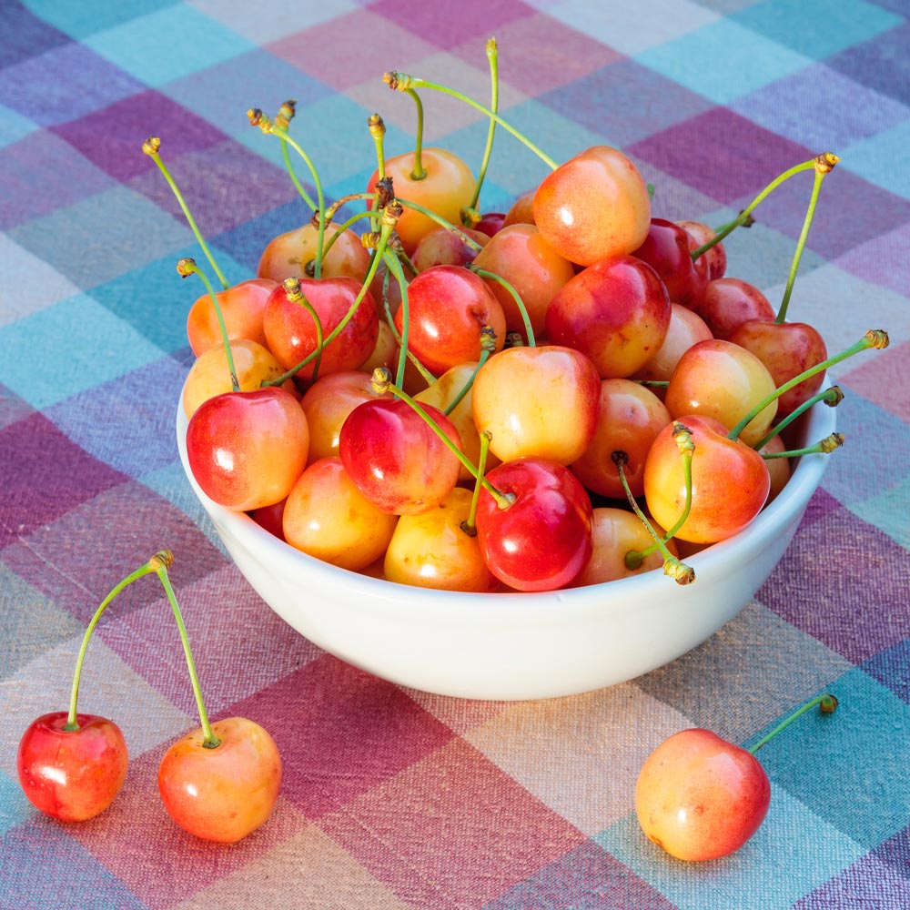 #2 - Rainier Cherry Tree
