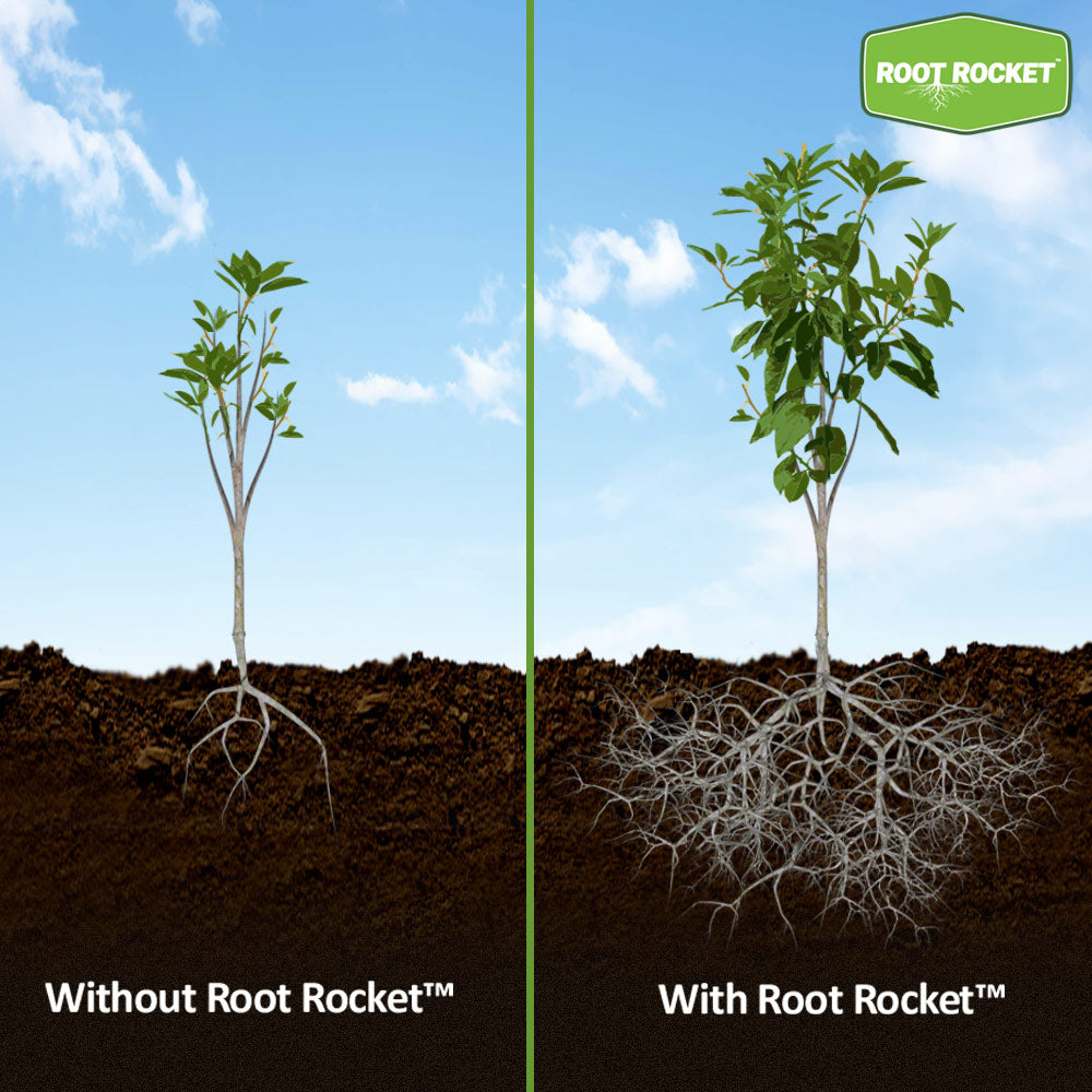 #1 - Root Rocket Fertilizer