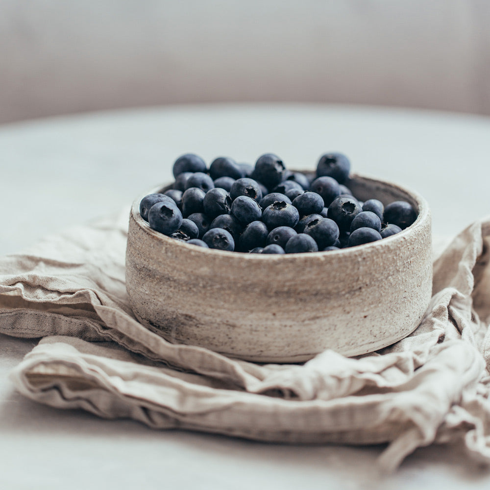 #2 - Sharpblue Blueberry Bush