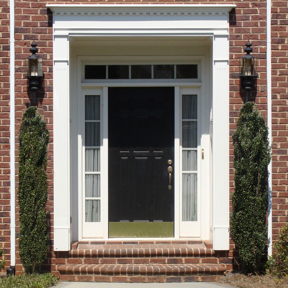 #4 - Sky Pencil Holly Tree