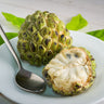 Sugar Apple Tree