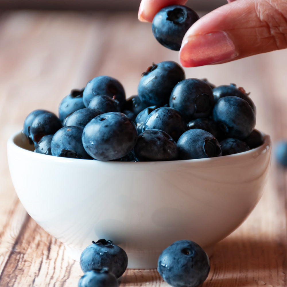 #2 - Top Hat Blueberry Bush