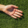 TurboTurf™ Bermudagrass Seed