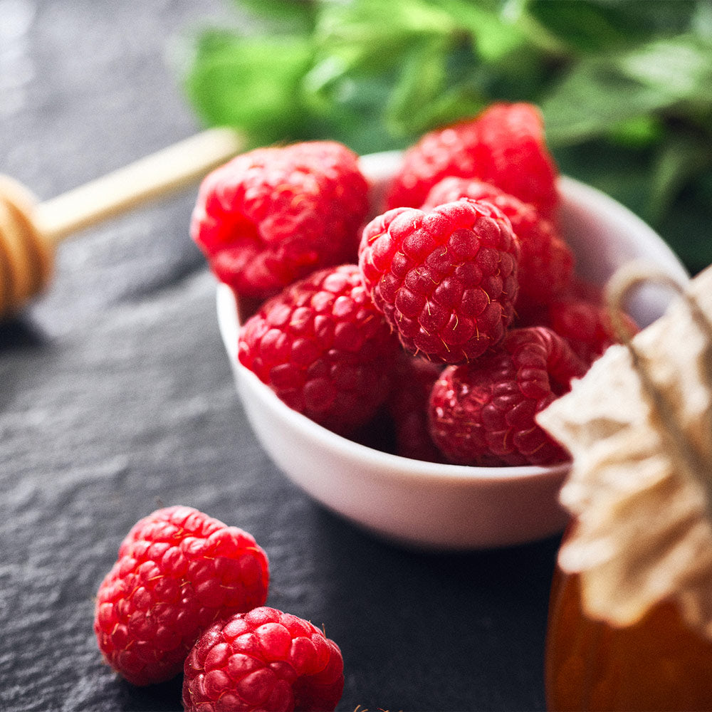 #3 - Willamette Red Raspberry Bush