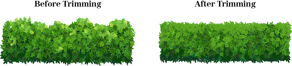 Shrubs and hedges before and after trimming